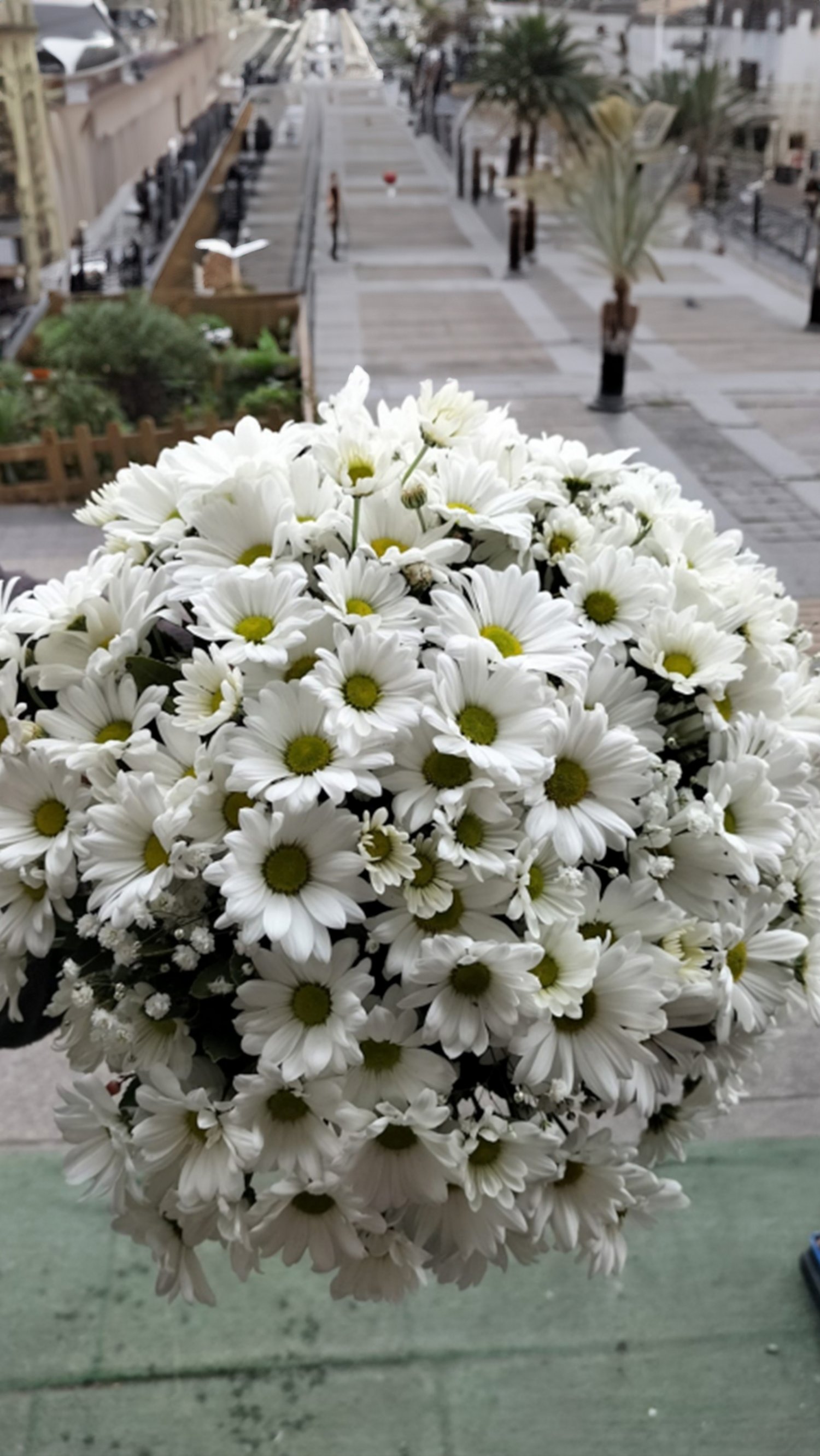 Buket Çiçek papatya